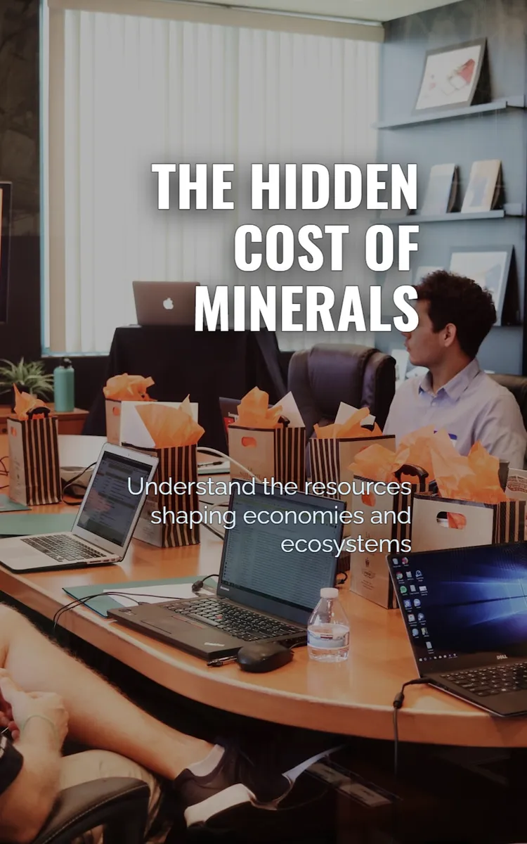 The Hidden Cost Of Minerals