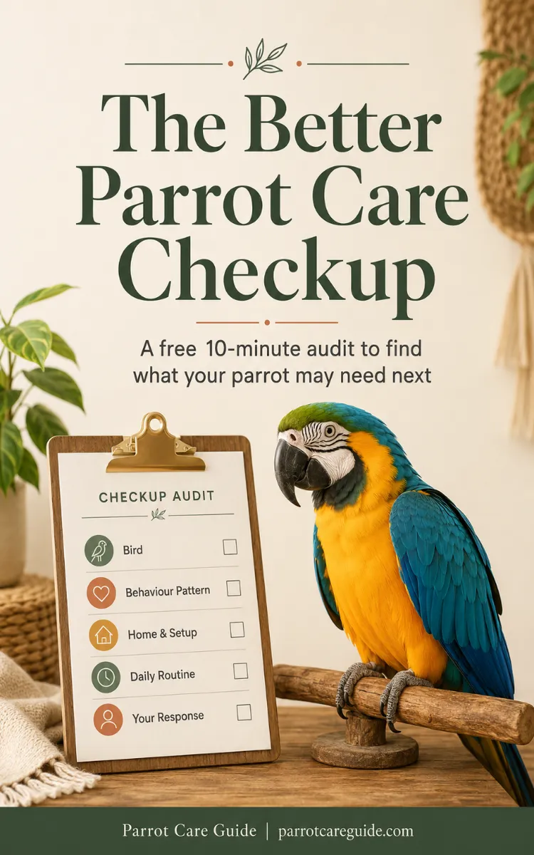 The Better Parrot Care Checkup