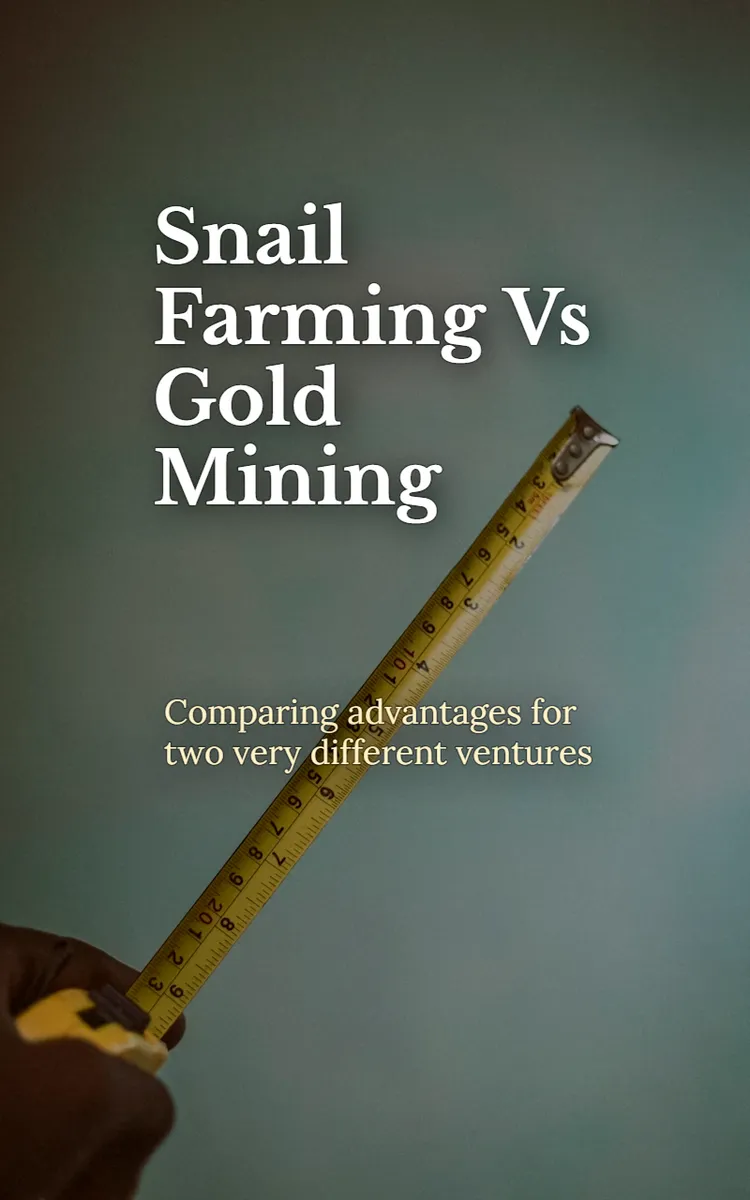 Snail Farming Vs Gold Mining