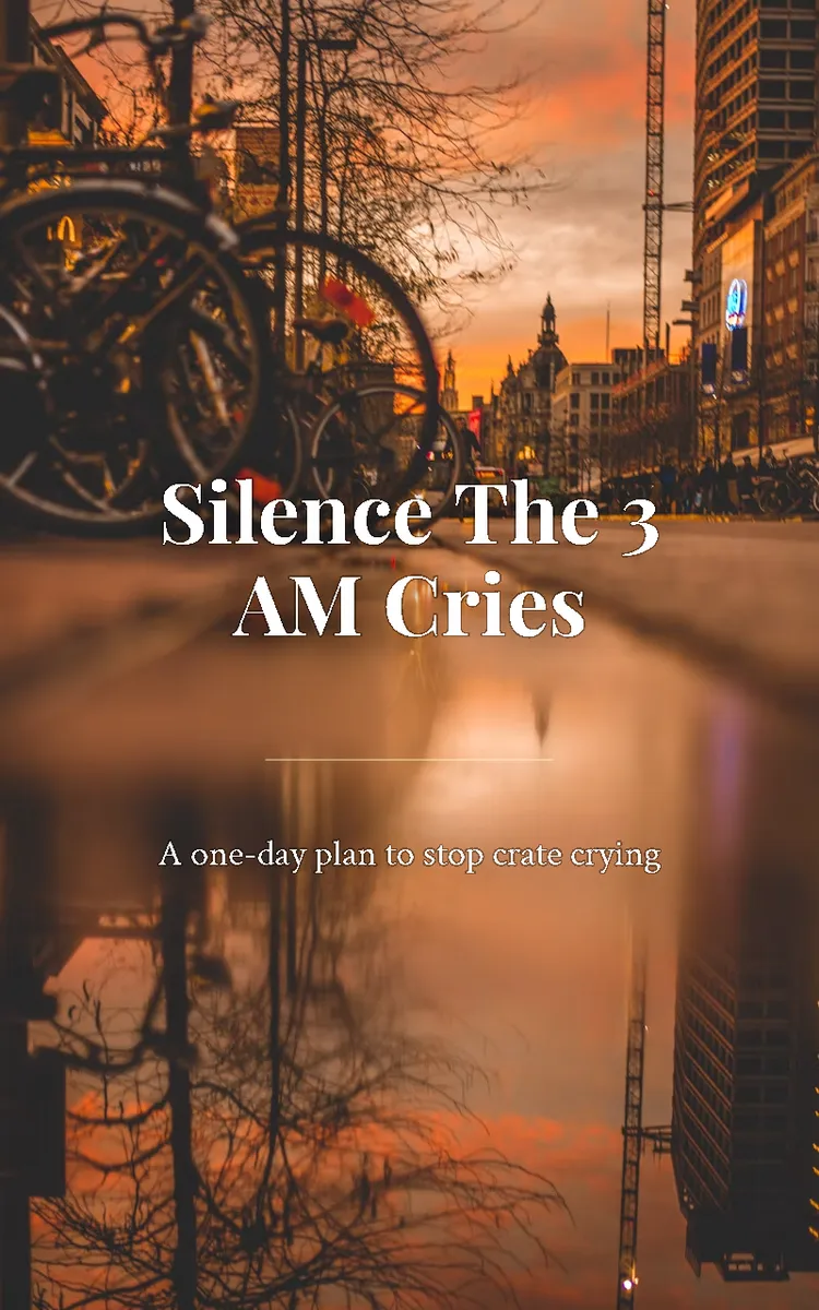 Silence the 3 AM Cries