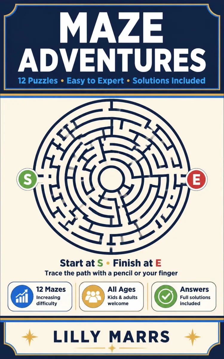 Maze Adventures Book