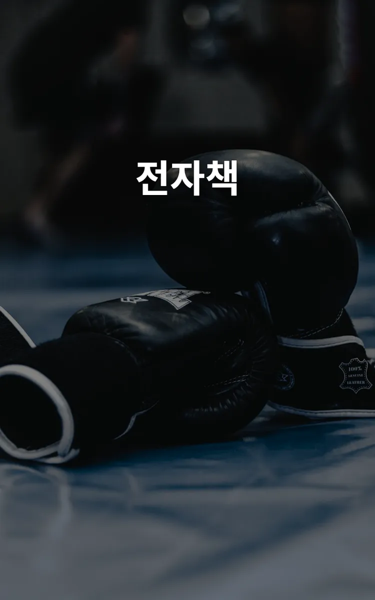 전자책