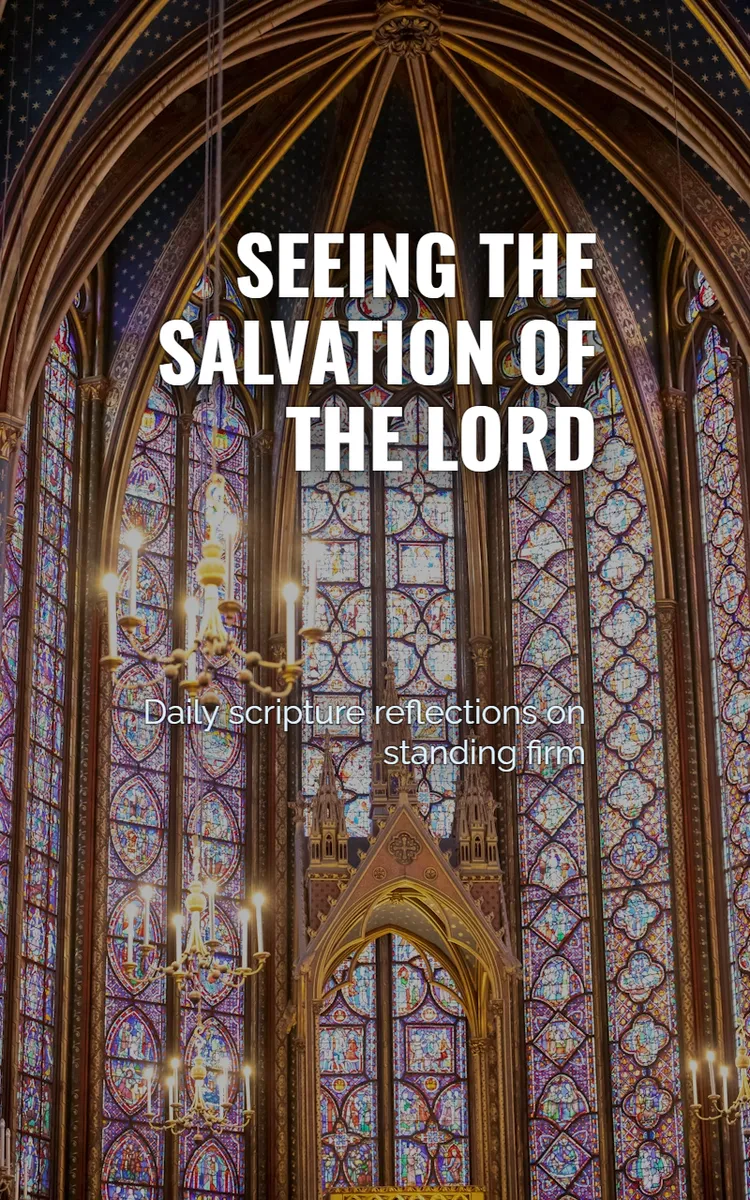 Seeing The Salvation Of The Lord