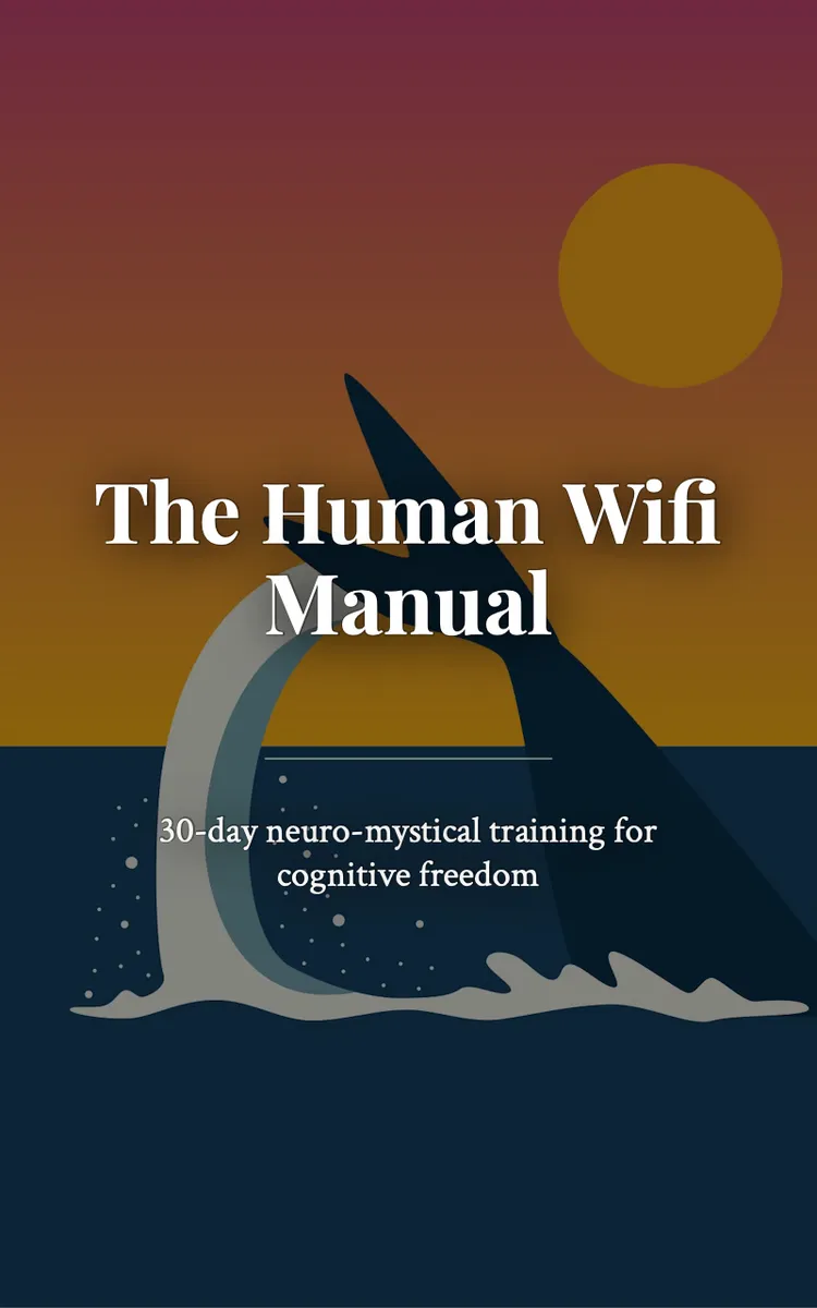 The Human Wifi Manual