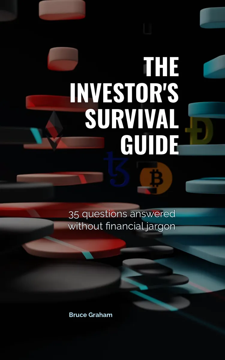 The Investor's Survival Guide
