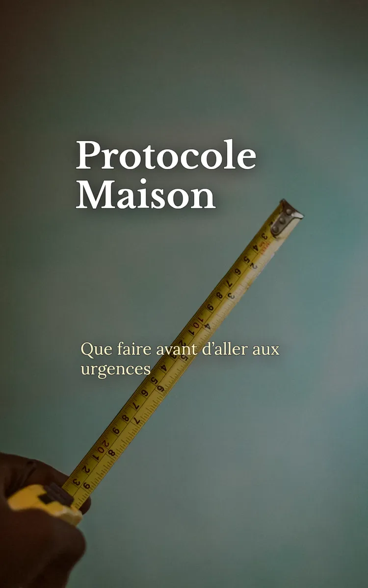 Protocole Maison