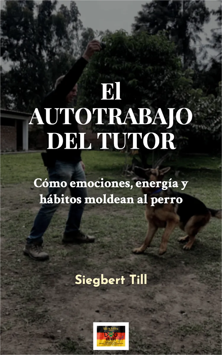 El Autotrabajo Del Tutor