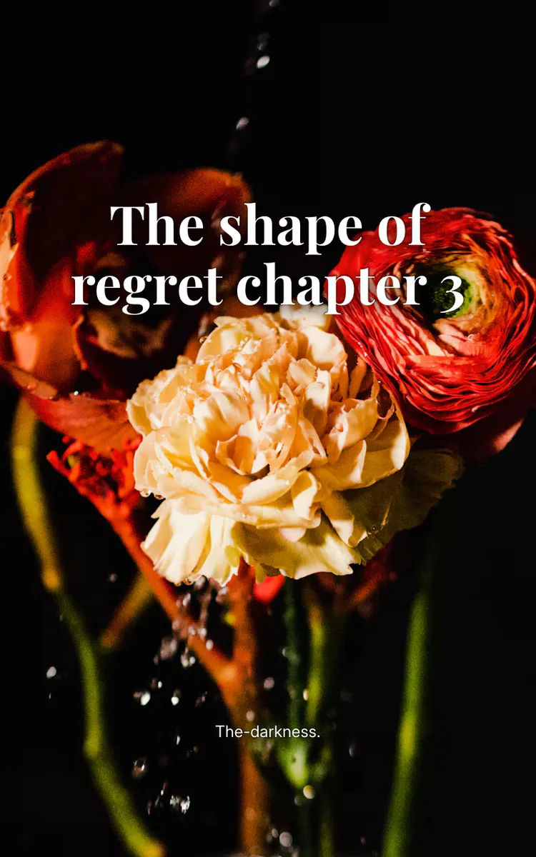 The shape of regret chapter 3