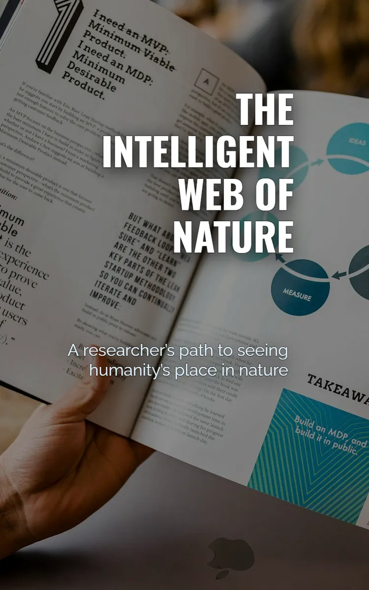 The Intelligent Web Of Nature