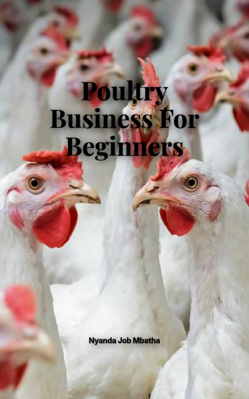 Poultry Business For Beginners