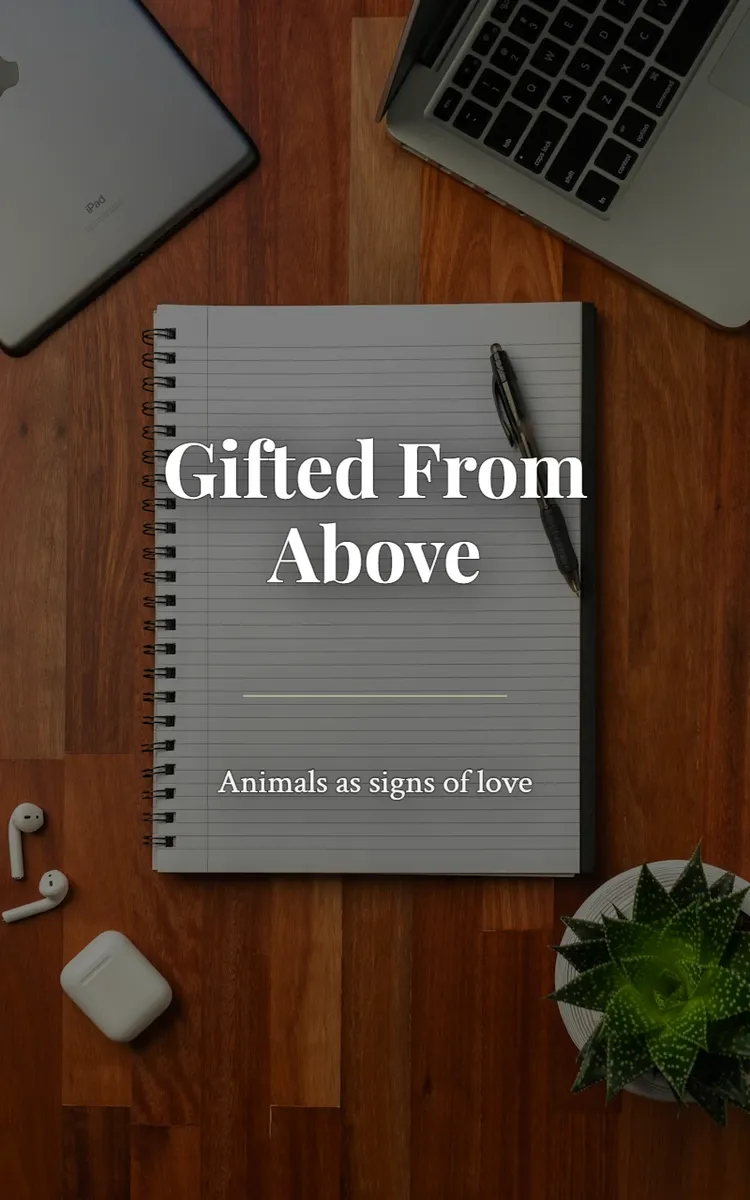 Gifted From Above