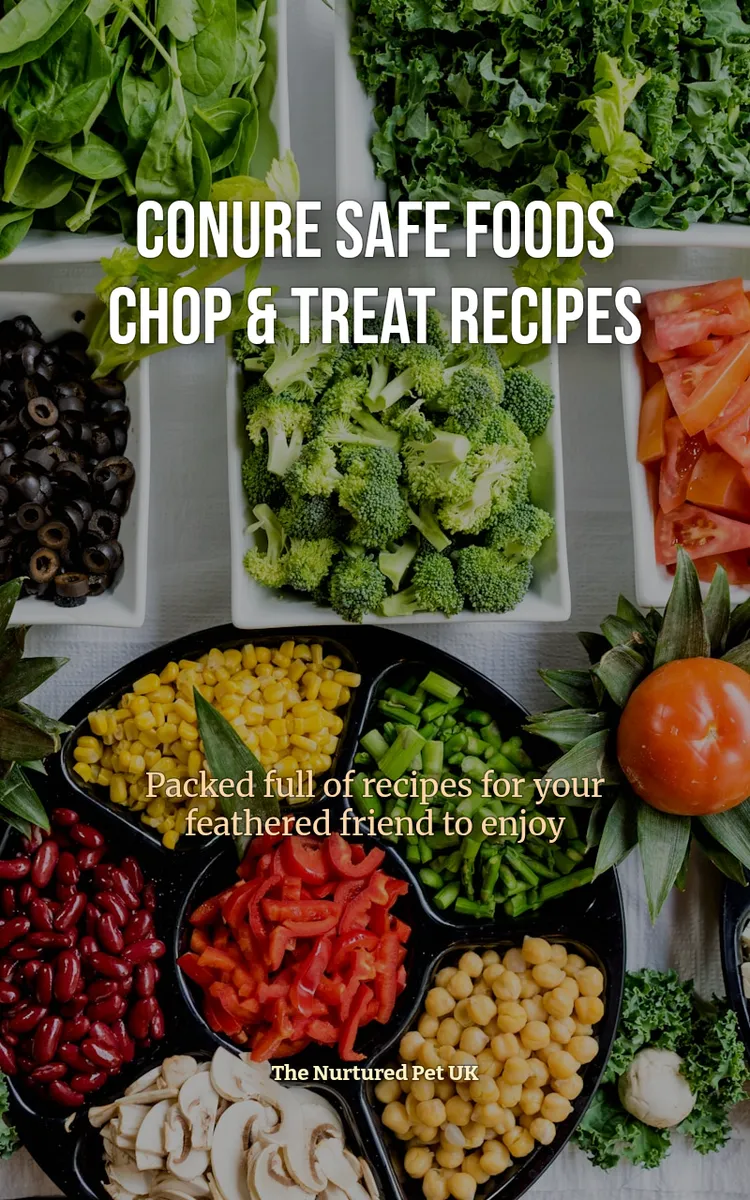 Conure Safe Foods & Treats
