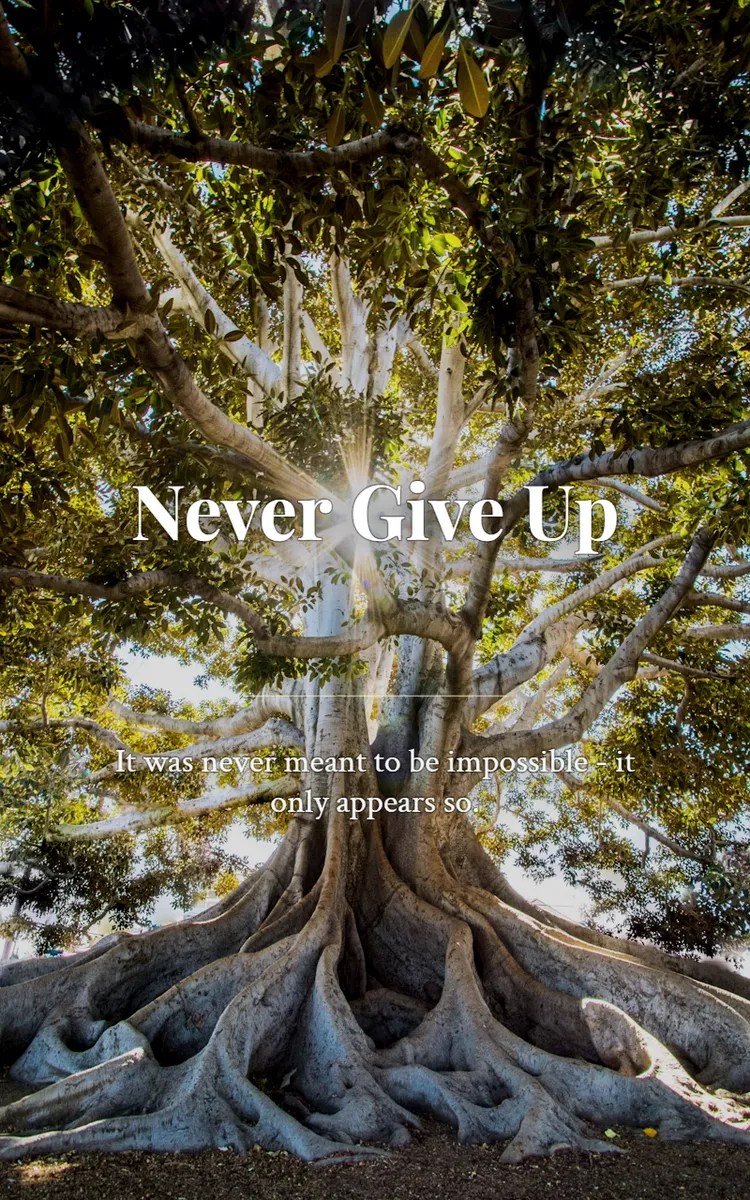 Never Give Up