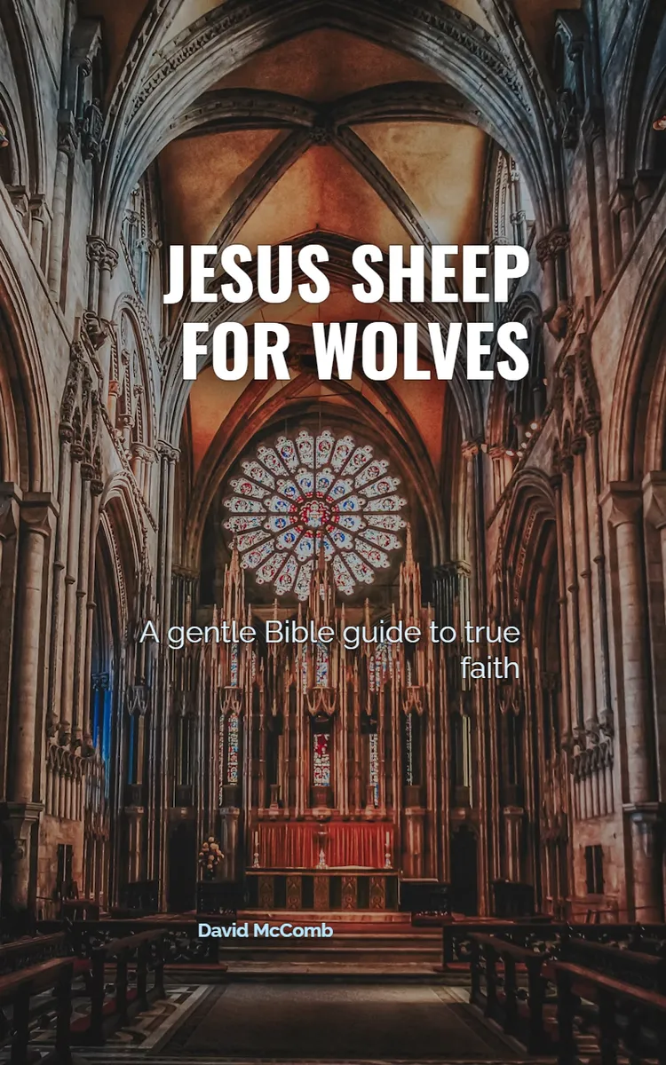 Jesus Sheep For Wolves