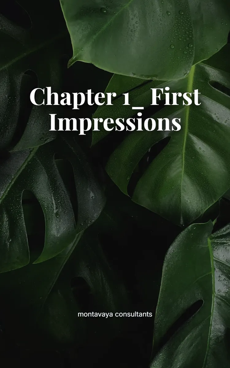 Chapter 1_ First Impressions
