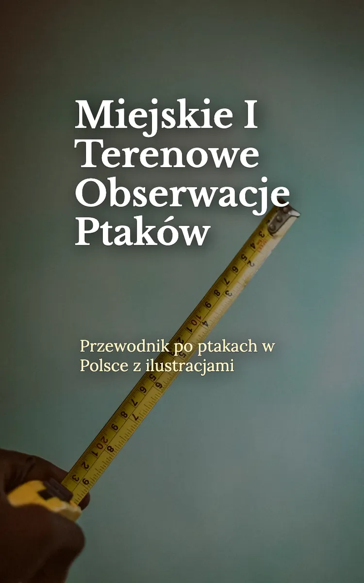 Miejskie I Terenowe Obserwacje Ptaków