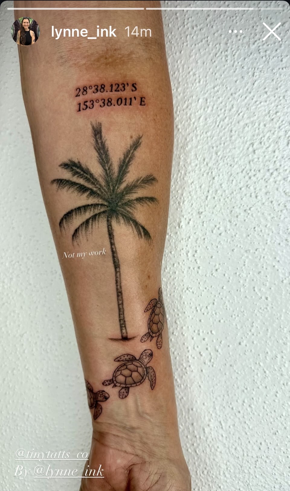 A minimalist linework tattoo featuring a palm tree and turtles on the forearm.