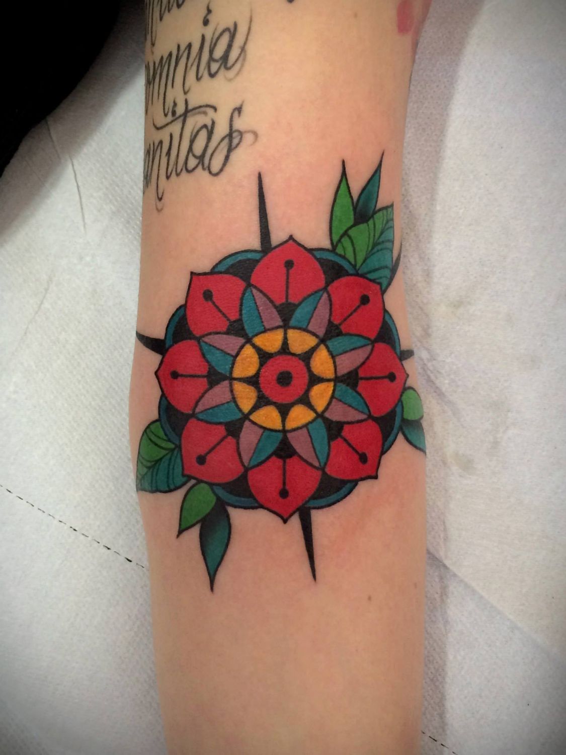 2b4fc8d8-3ffd-4214-b69d-837a680db8f7