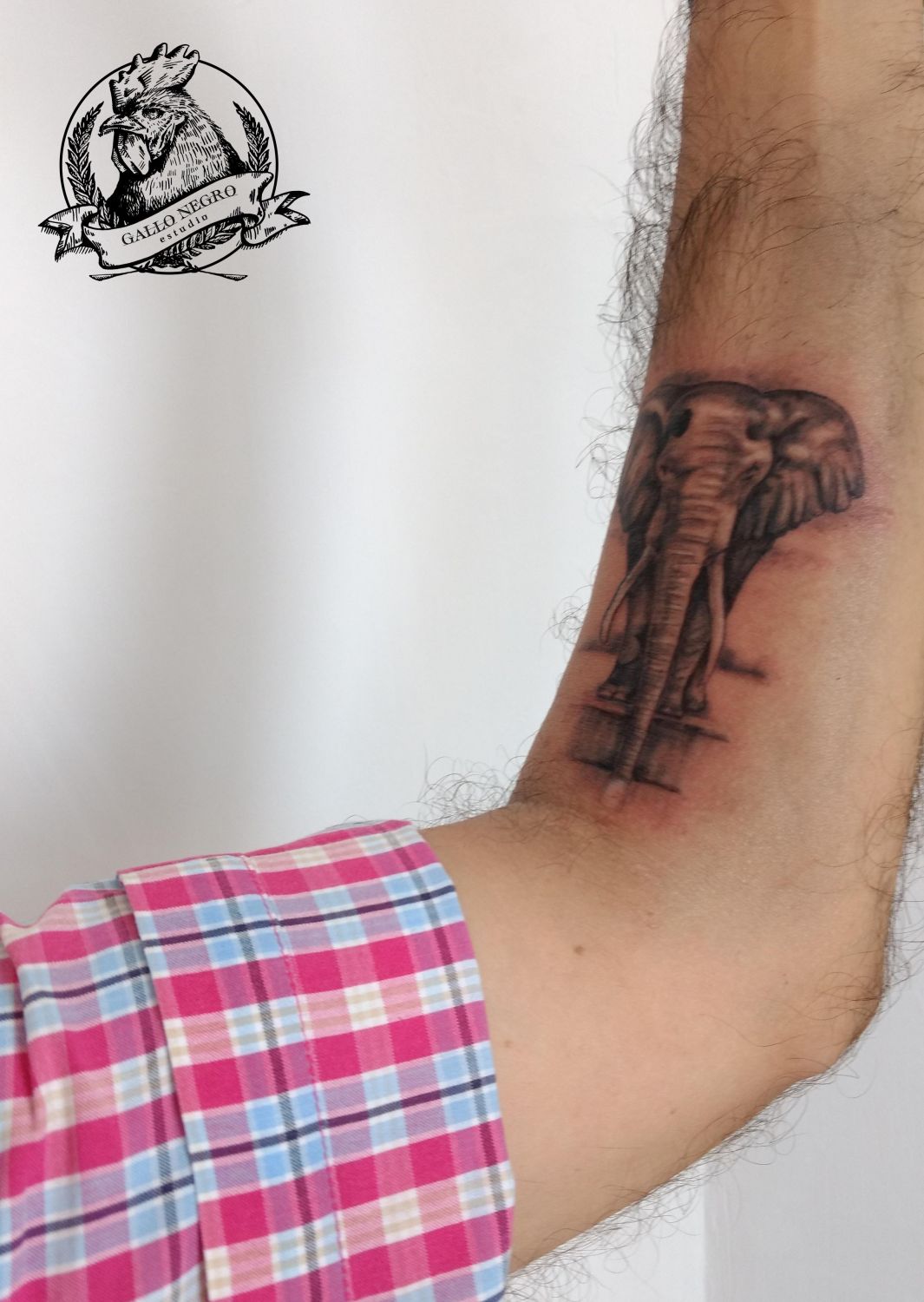 657e28c5-fbf9-4779-8b7a-f439dd0ee546