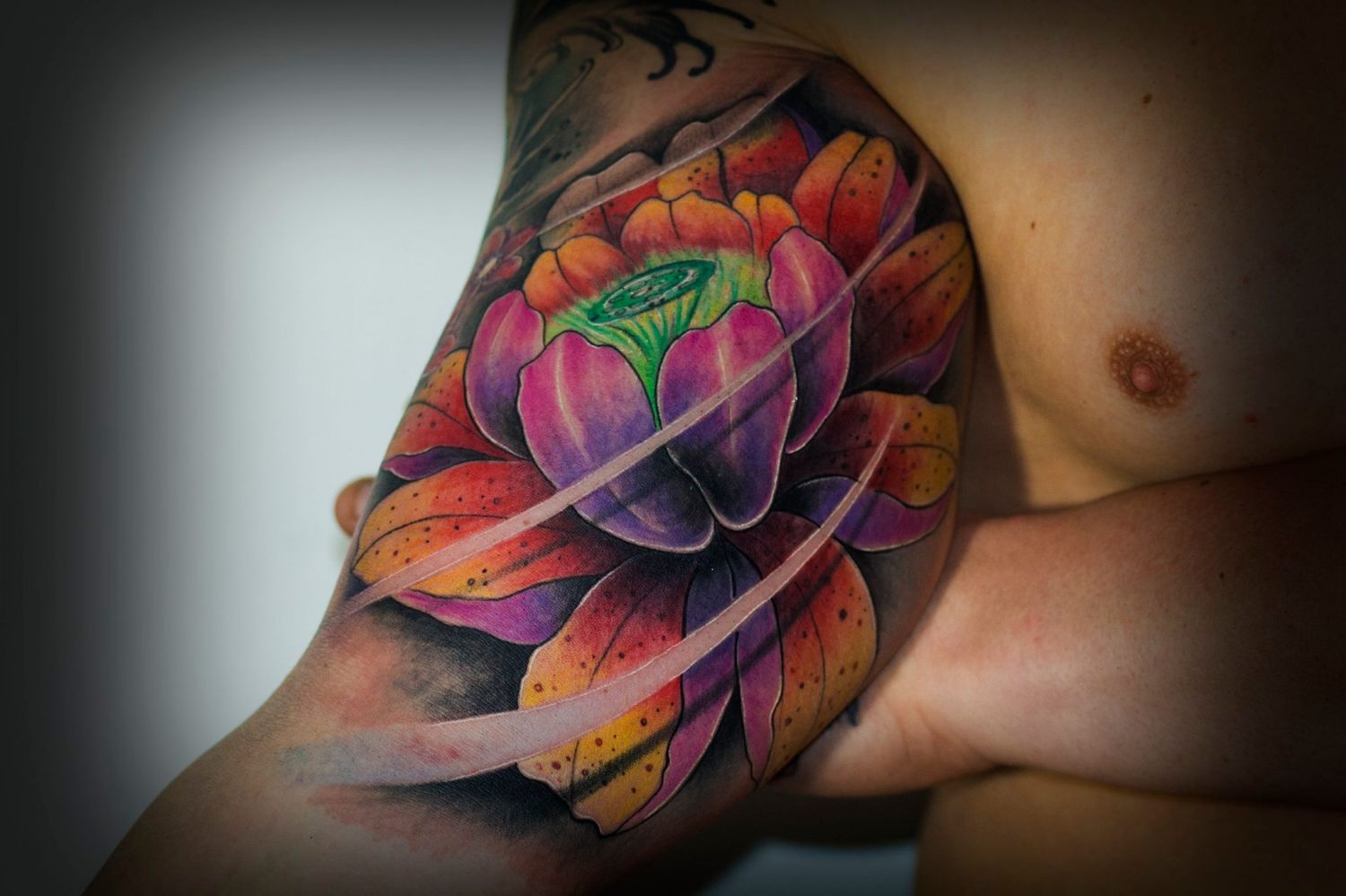 a93a8d95-126e-4441-bcfc-38fb23c40a77