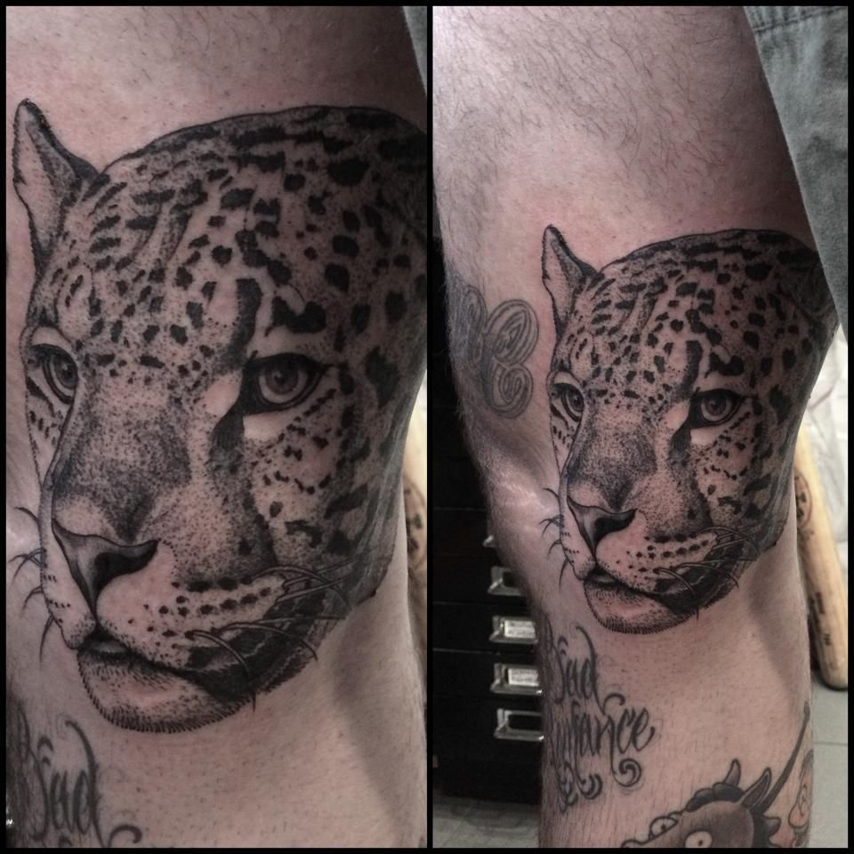 c1a985b5-670b-44e7-a2e6-5d839e0aa32e