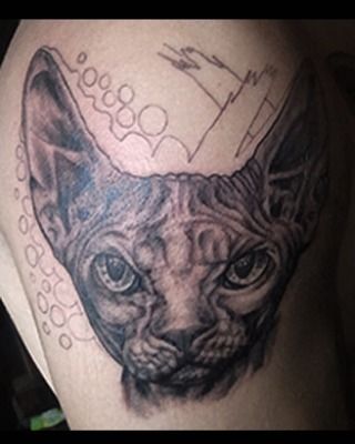 1e9f5894-1f93-4629-b09b-ae0835f45e84