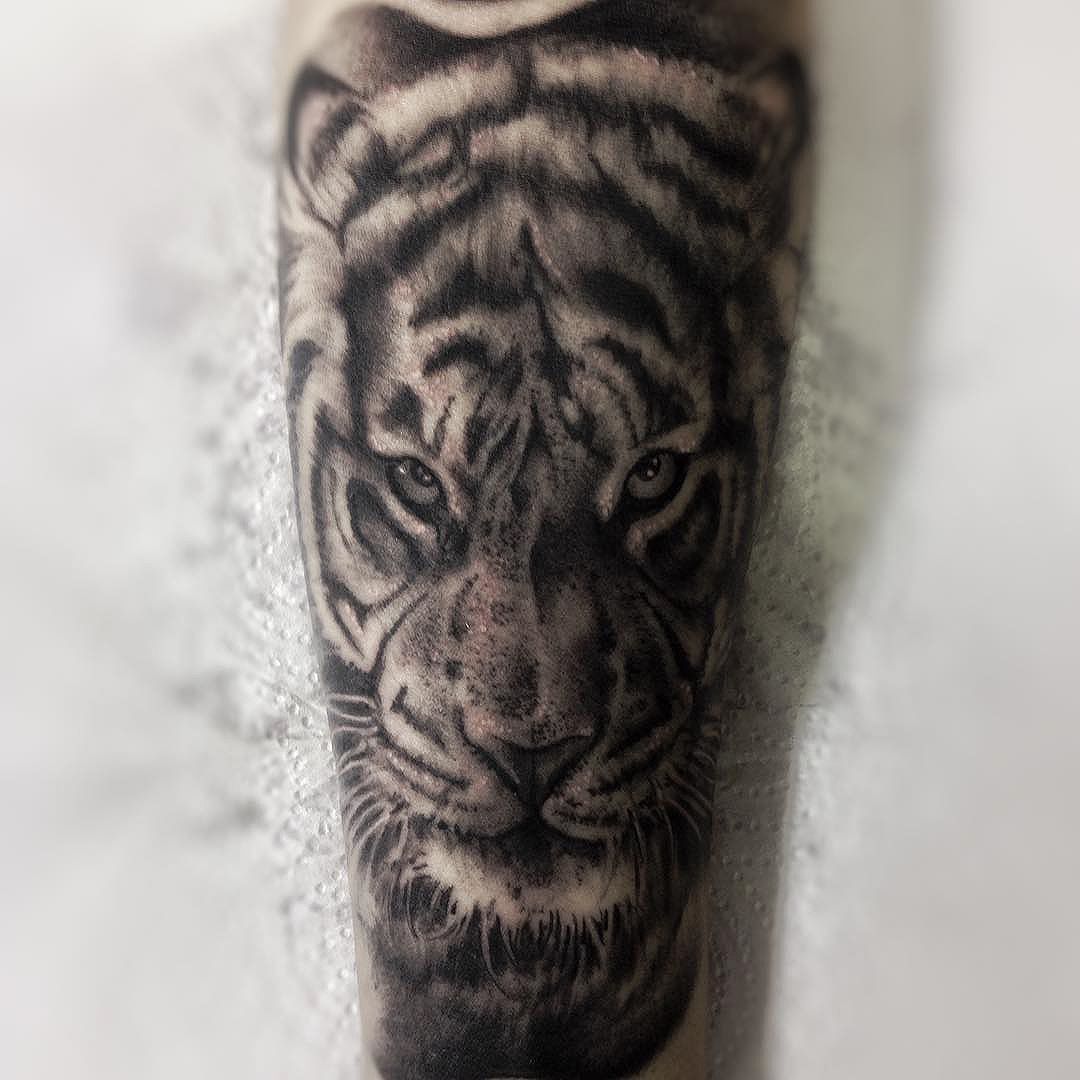 4e21e74c-c0e9-4cfd-ab98-33fe441b03c3