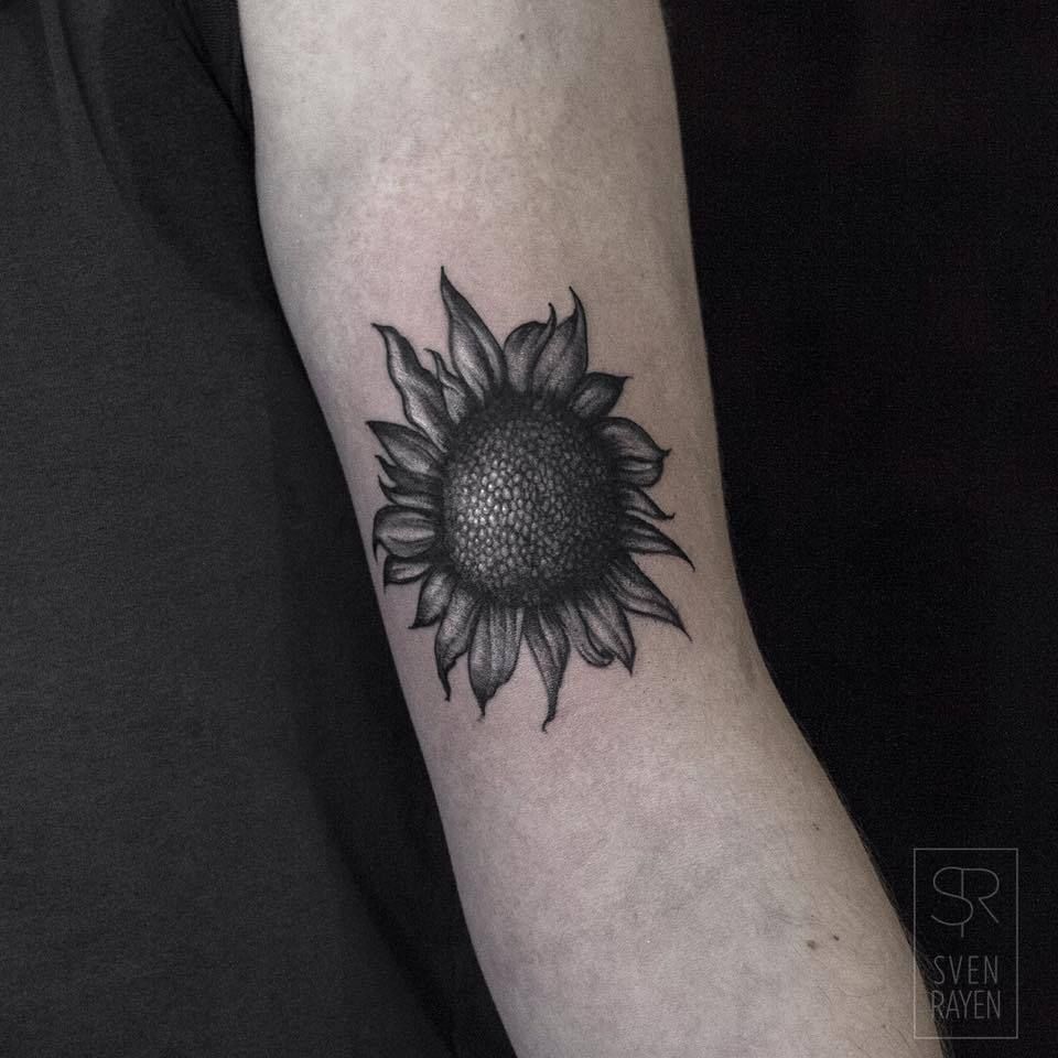 e090dea0-47db-4887-a15a-e824b2ed5083