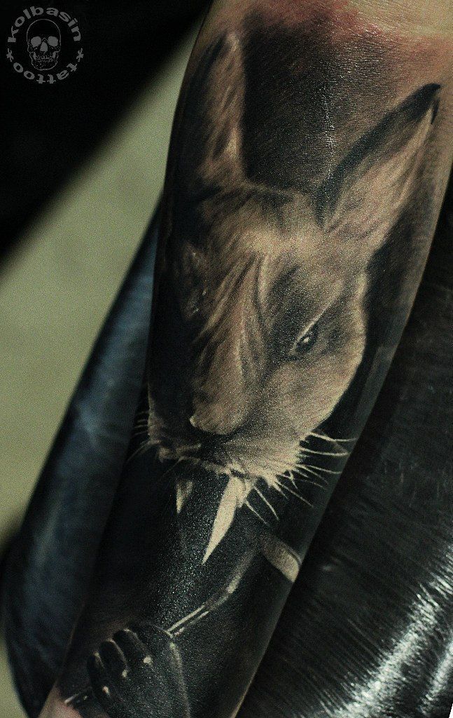 146e88e7-d472-4414-acb6-2cad8c250265