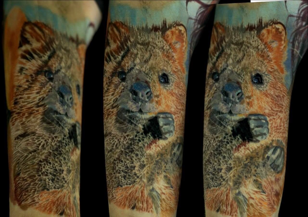 e698035b-3ea1-4775-9a1a-f76aa053eb1d