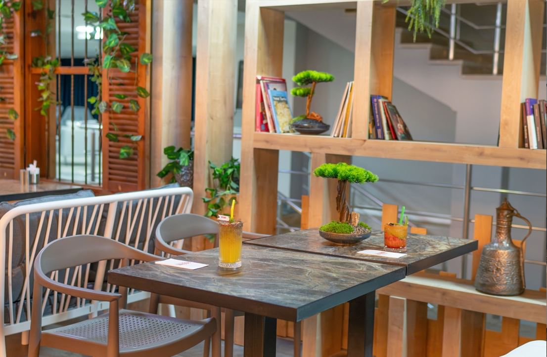 rooibos cafe