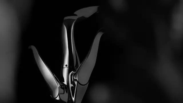 ALESSI SWAN by HANSA (black version)