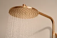 HANSAVIVA, Rain shower faucet, 6515920181