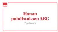Hanan puhdistuksen ABC - pesuallashana