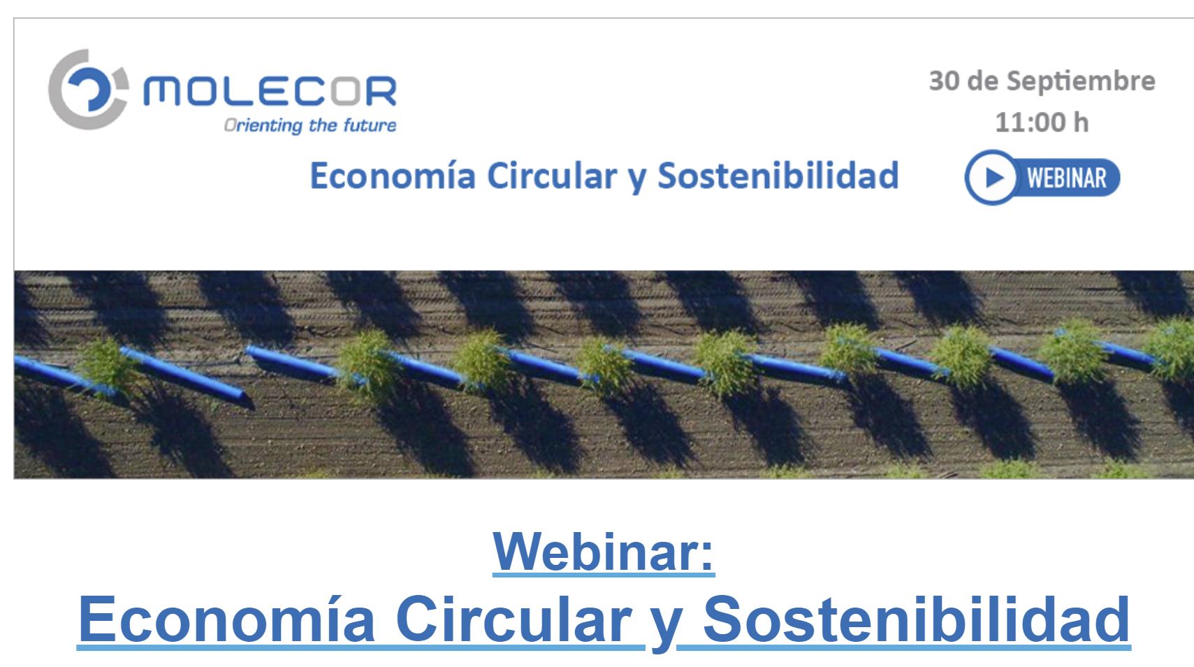 Webinar: Economía Circular y Sostenibilidad - calendario de webinars profesionales