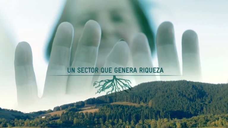 BASKEGUR: “Bioeconomía Forestal Circular para una Euskadi Sostenible”