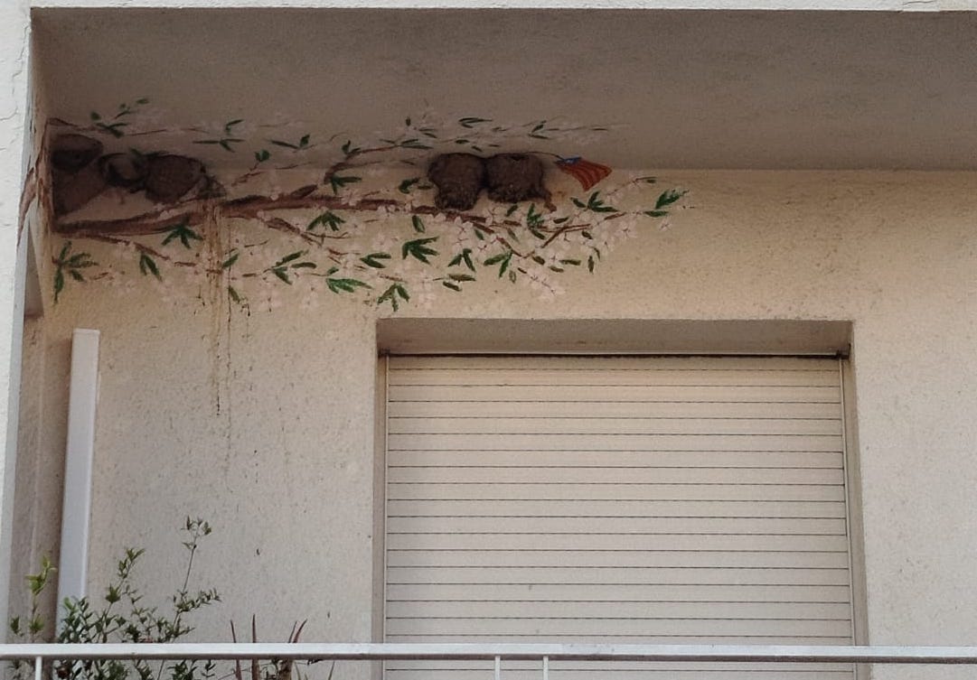 RENATUReus. Sessió oberta: La integració de la fauna urbana en l'arquitectura