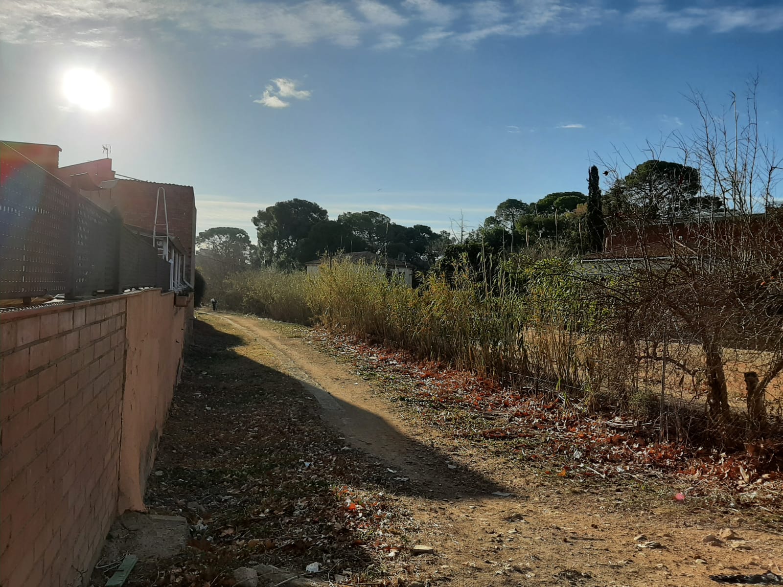 RENATUReus: Passeig per la ruta per l'antiga riera de l'Escorial