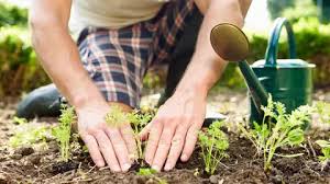 Taller Huerto - TGN Mayo 26