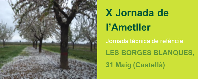 X Jornada de l’ametller - Castellà