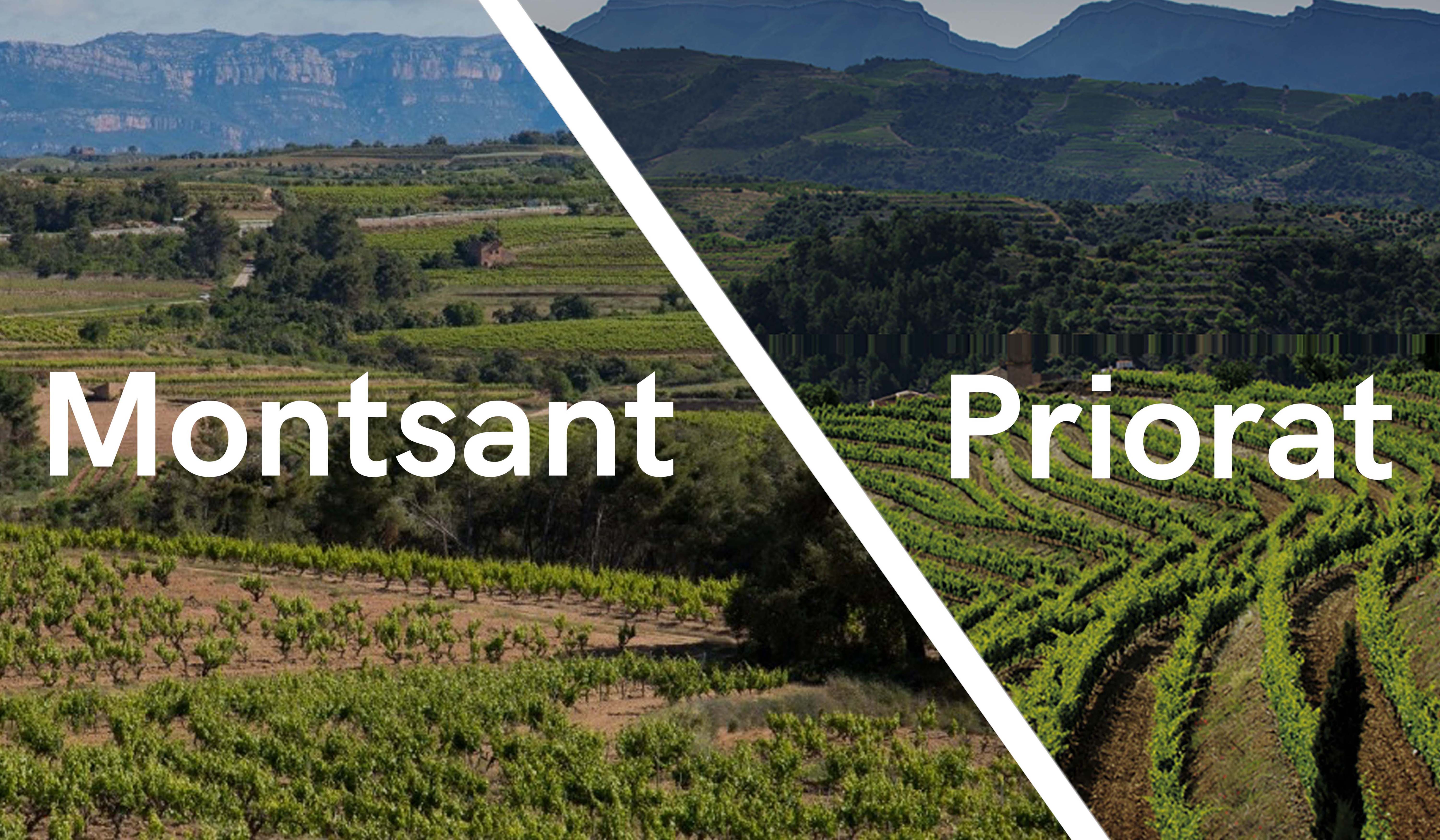 Priorat vs. Montsant