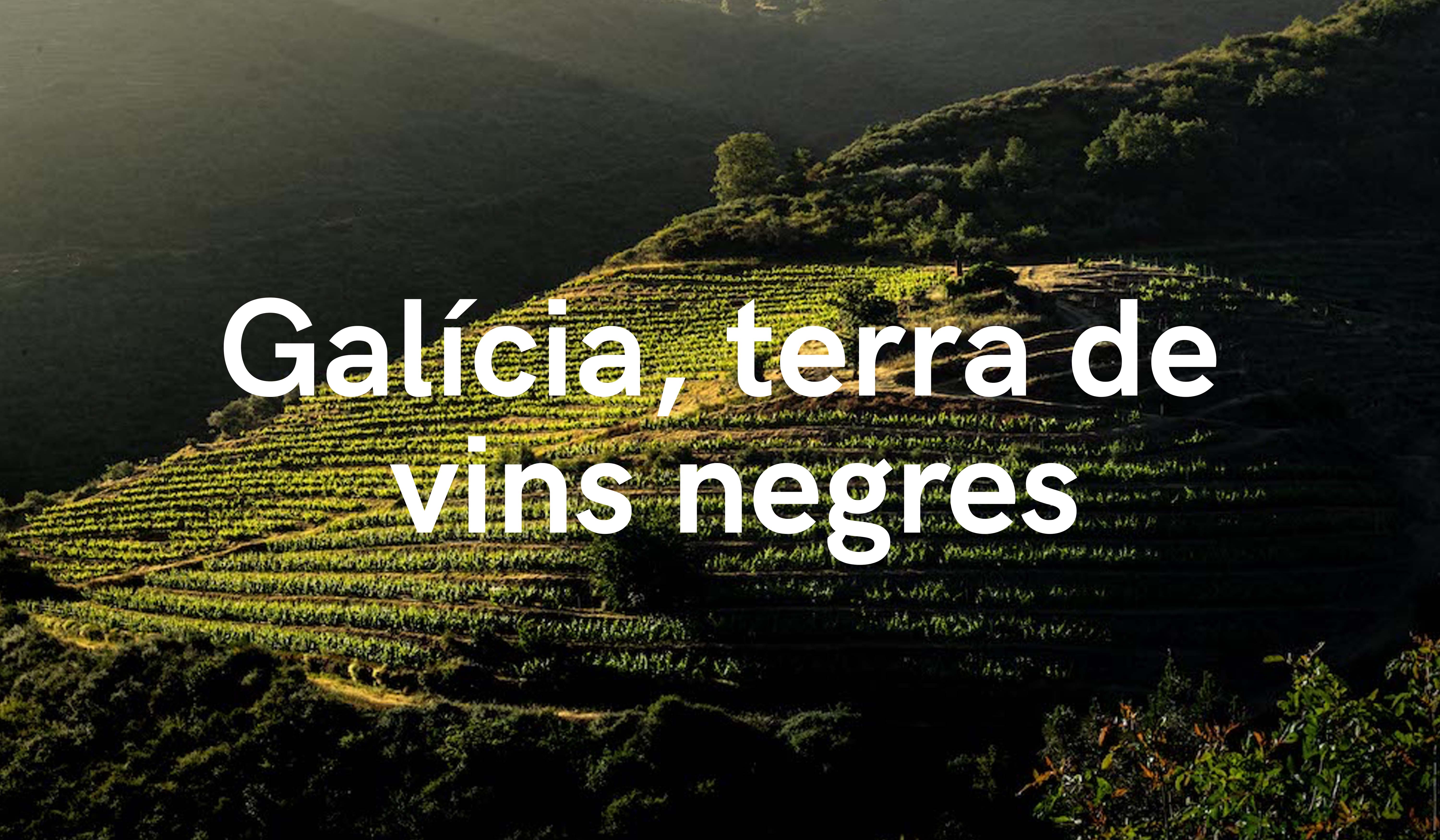 Galícia - Tierra de Vinos "Tintos"