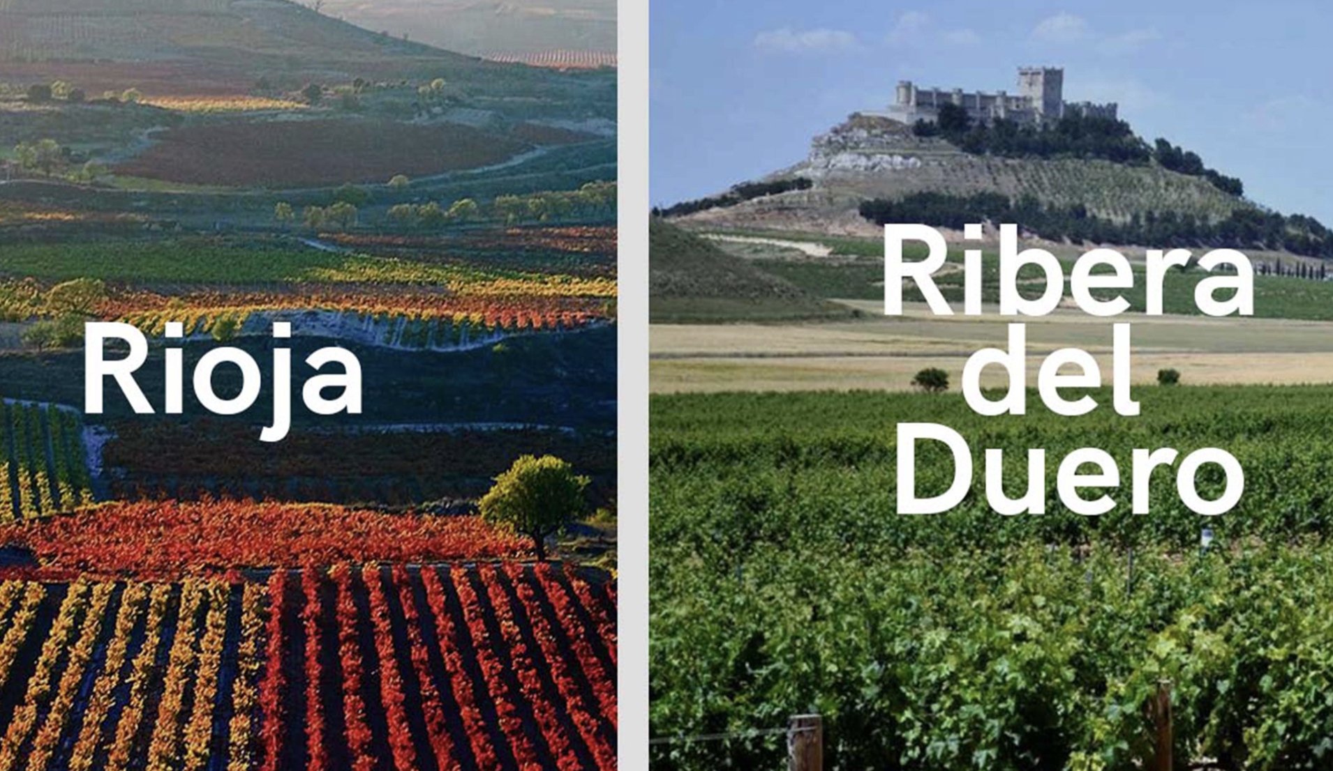 Rioja vs. Ribera. ¿Sabrías distinguir sus vinos a ciegas?