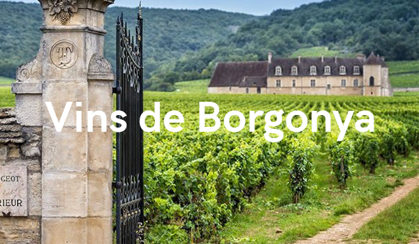 Vins de la Borgonya