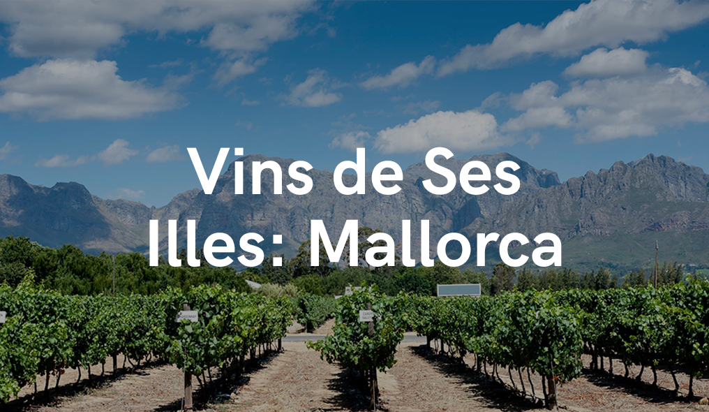 VINS DE SES ILLES - Mallorca