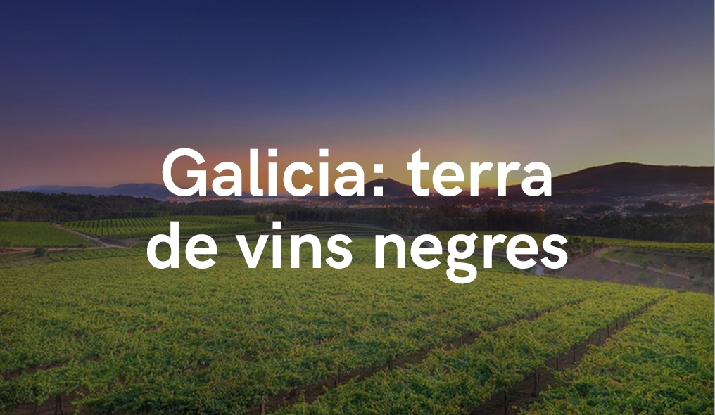 GALICIA - Terra de Vins "Negres" / part 2