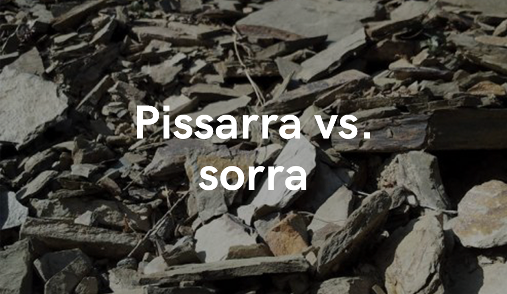 PISSARRA vs SORRA