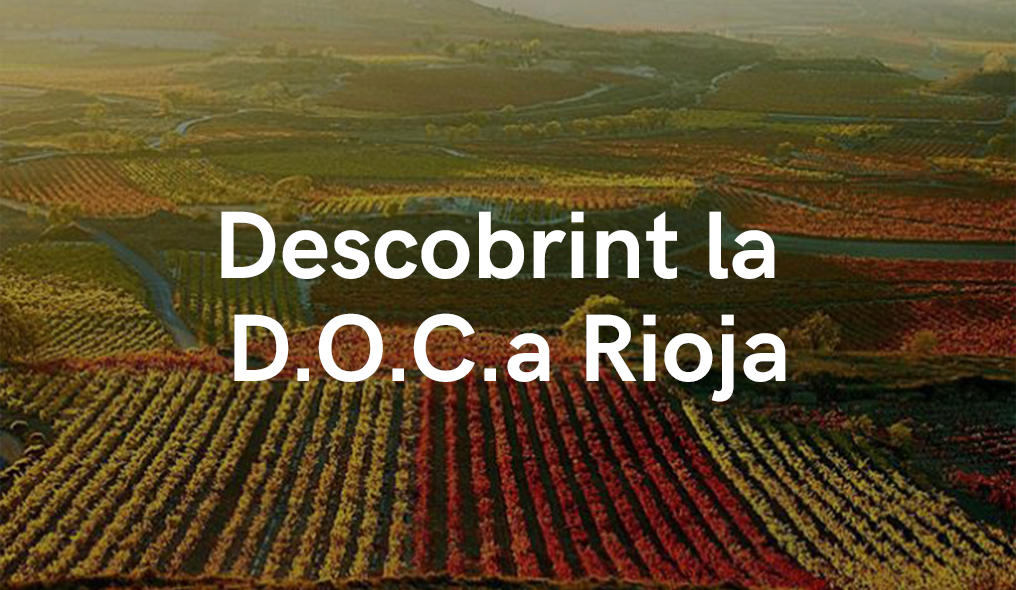 DESCOBRINT LA D.O.Ca. RIOJA