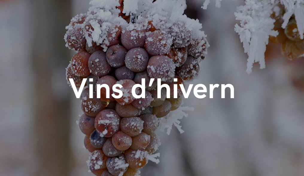 VINS D'HIVERN