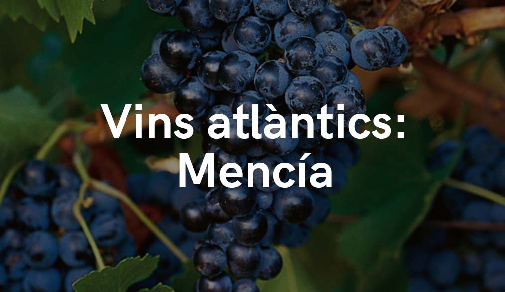 VINS ATLÀNTICS - Mencía